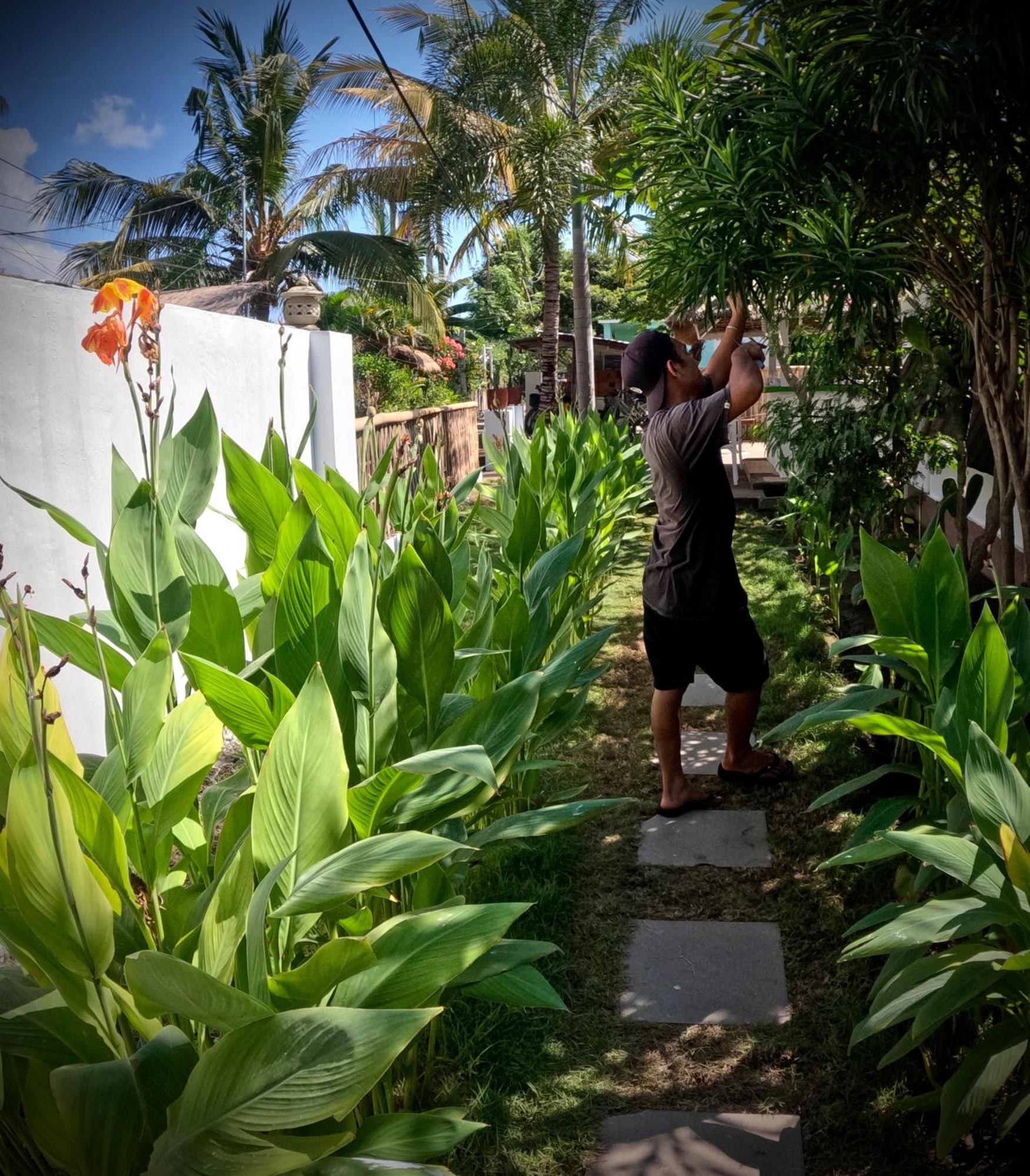 Kaktus Bungalow 4 Gili Air Luaran gambar